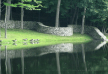 Here are some Masterpieces from Andy Goldsworthy