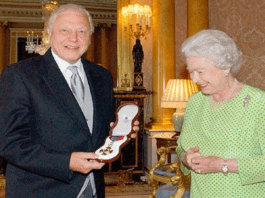 Here are the most interesting facts you should know about Sir David Attenborough!