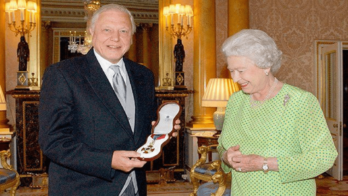 Here are the most interesting facts you should know about Sir David Attenborough!