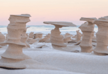 These weird Sand Pillars made Lake Michigan Shore seem like a different planet! These weird Sand Pillars made Lake Michigan Shore seem like a different planet