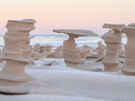 These weird Sand Pillars made Lake Michigan Shore seem like a different planet