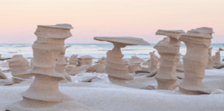 These weird Sand Pillars made Lake Michigan Shore seem like a different planet
