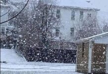 This text really hits the mark